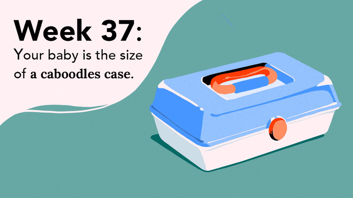 Week37 Caboodles case