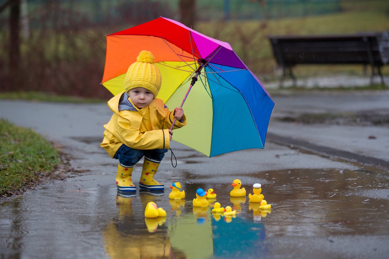 Boy holding an umbrella