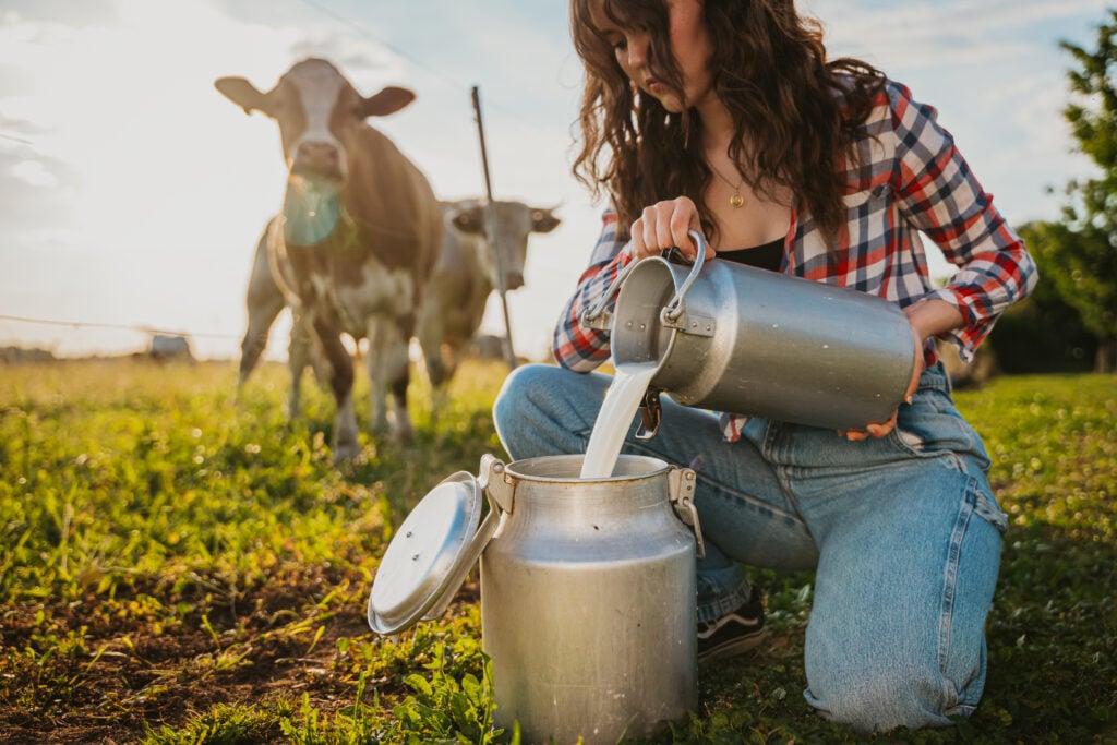 Beautiful young female farmer pouring raw milk into container while squatting in green grassy rural field on sunny day