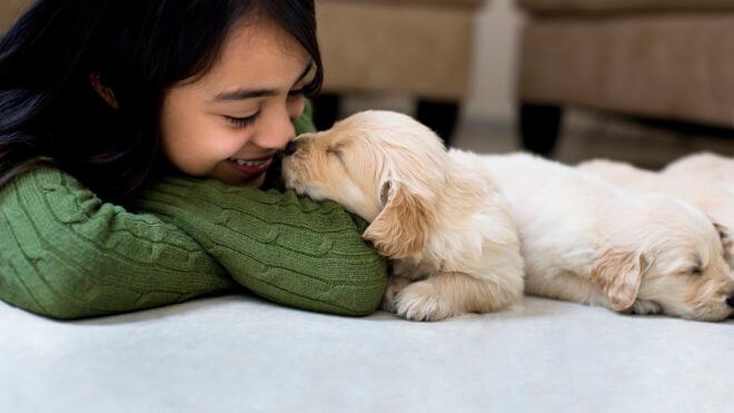 girl-labrador-puppy