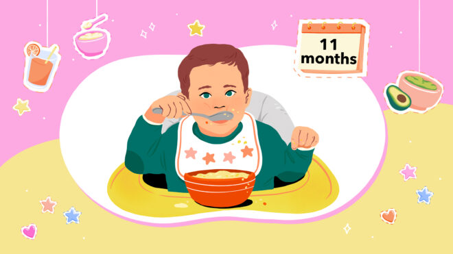 MC Baby Stages HP 11b