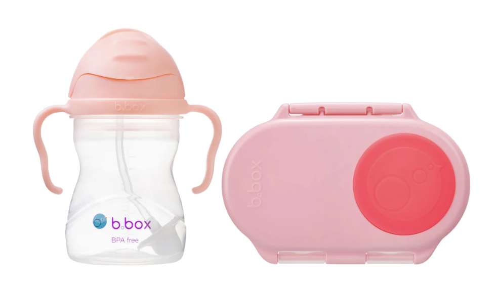 sippy cup tutti frutti + snackbox flamingo fizz